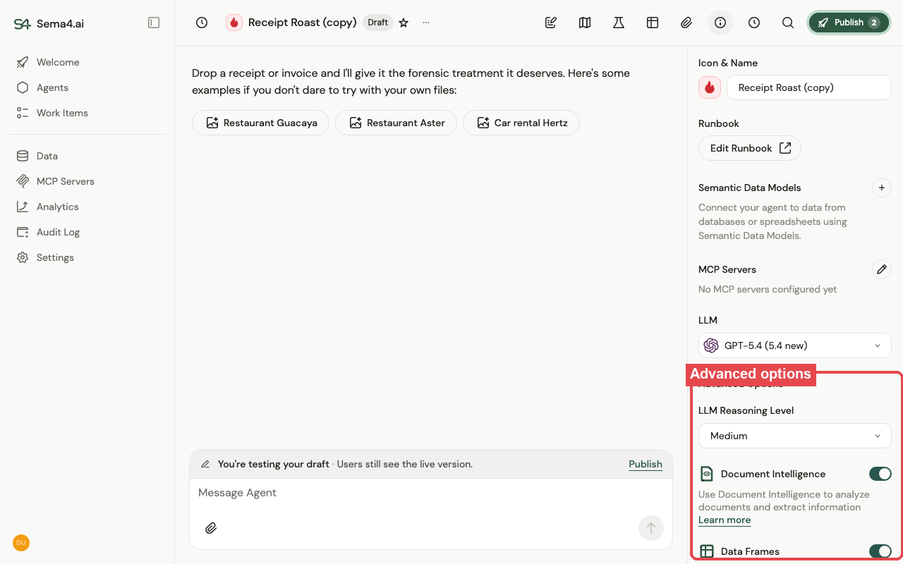 The Advanced Options section of an agent, showing reasoning level and feature toggles