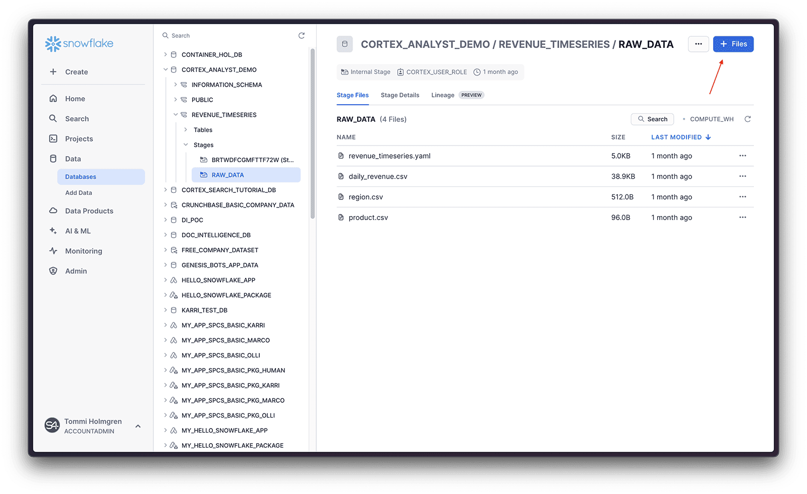 Uploading the model file to the stage