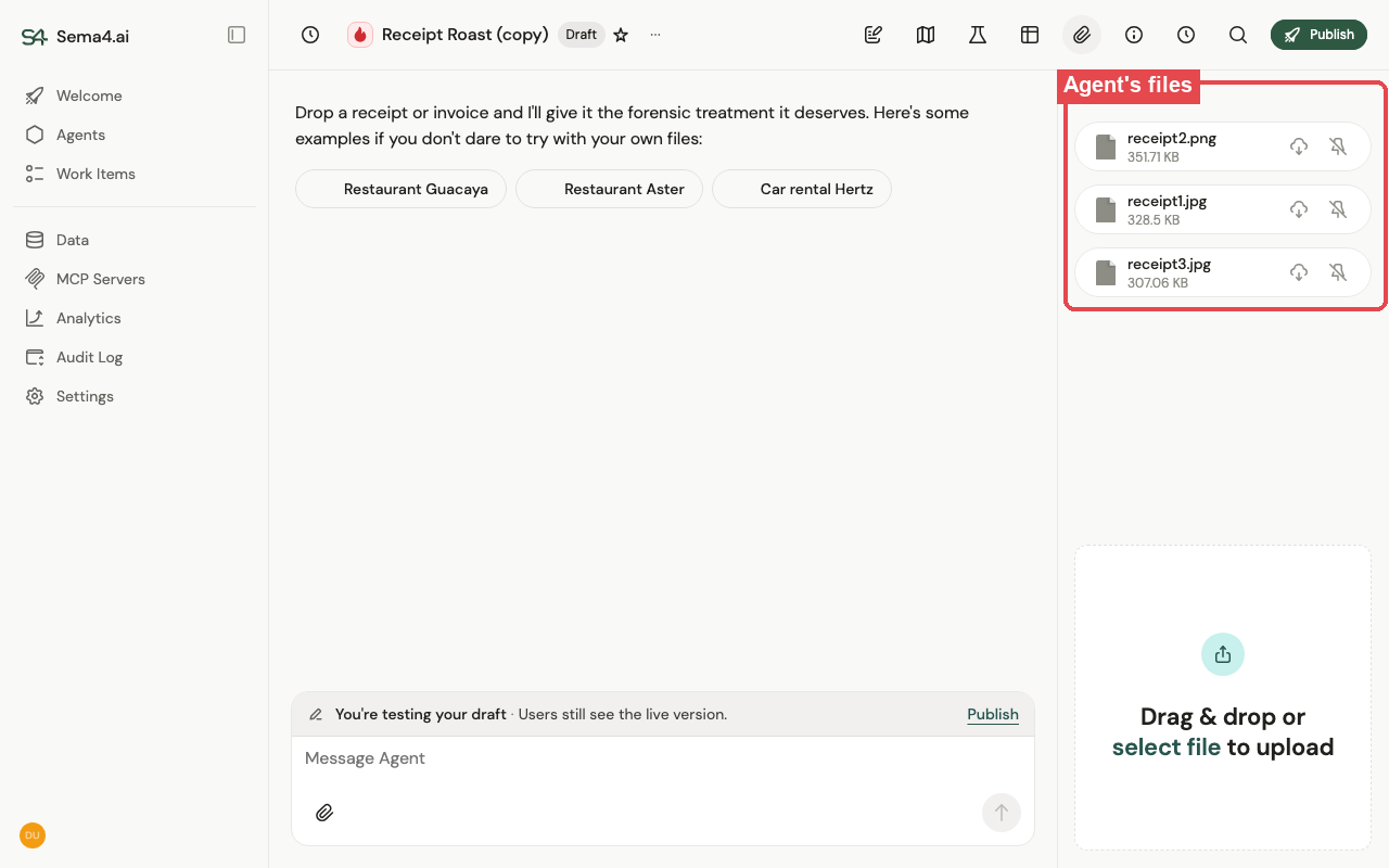 An agent's shared (agent-scoped) files, with a drag-and-drop area to upload more