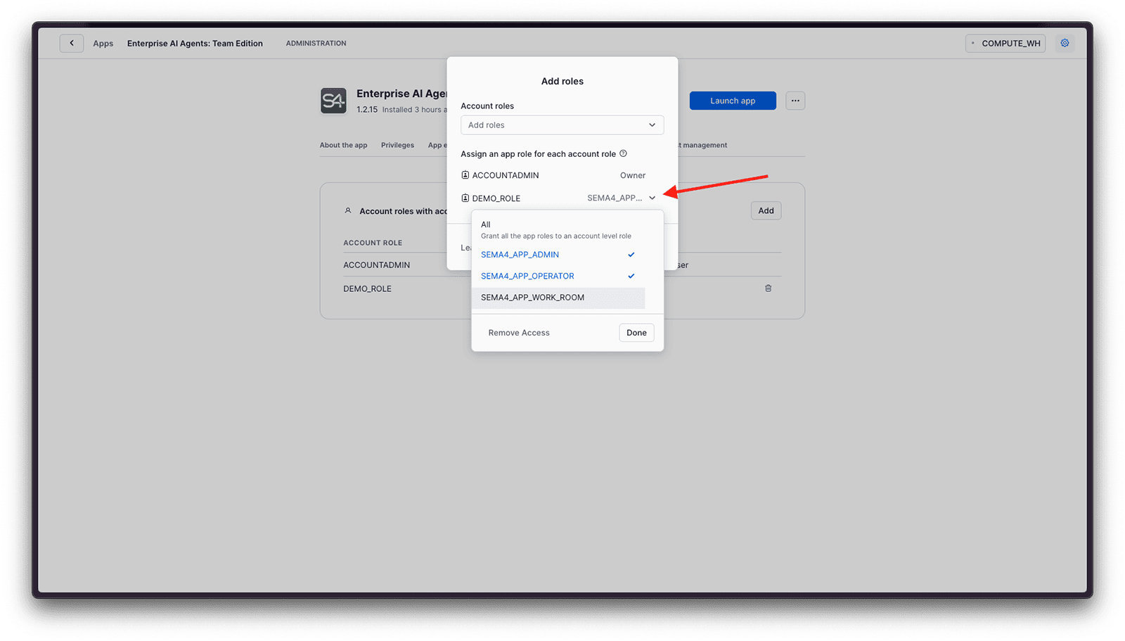 Select the application roles