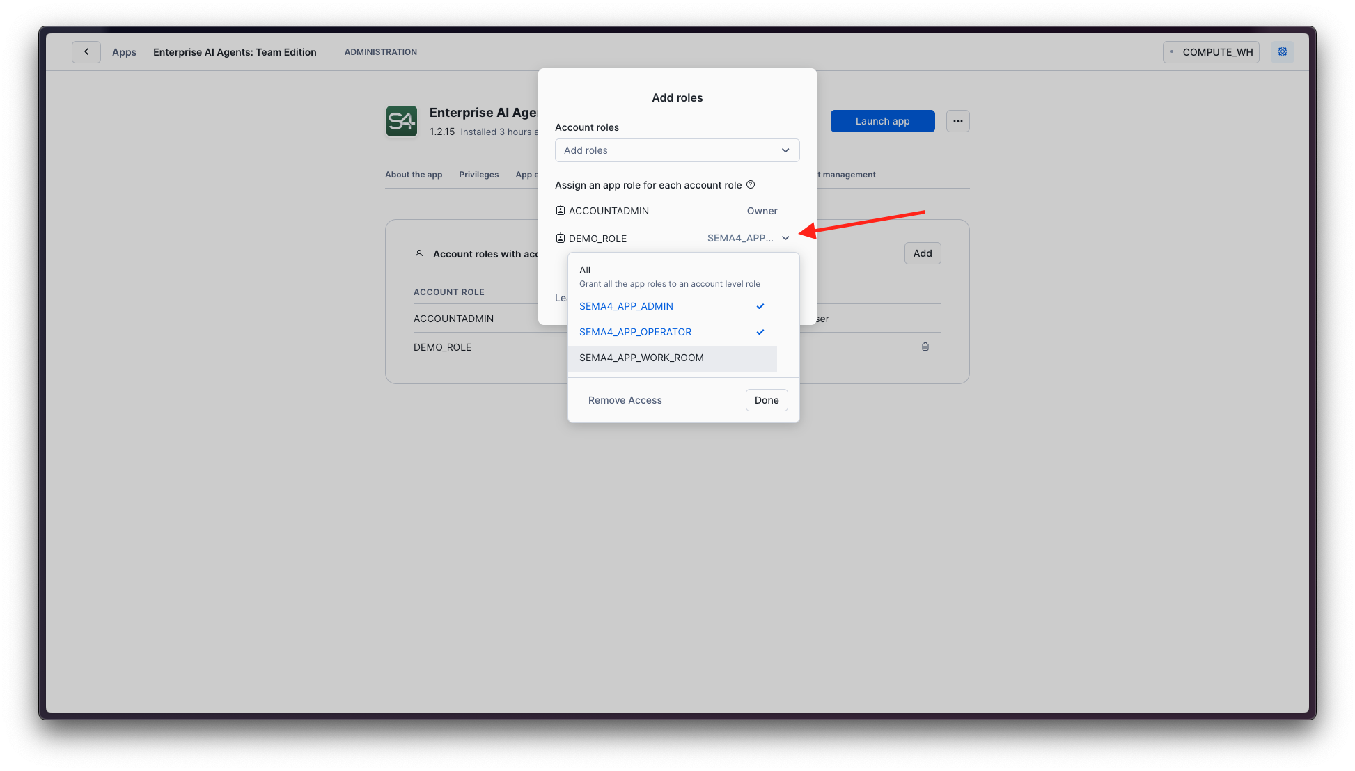Select the application roles