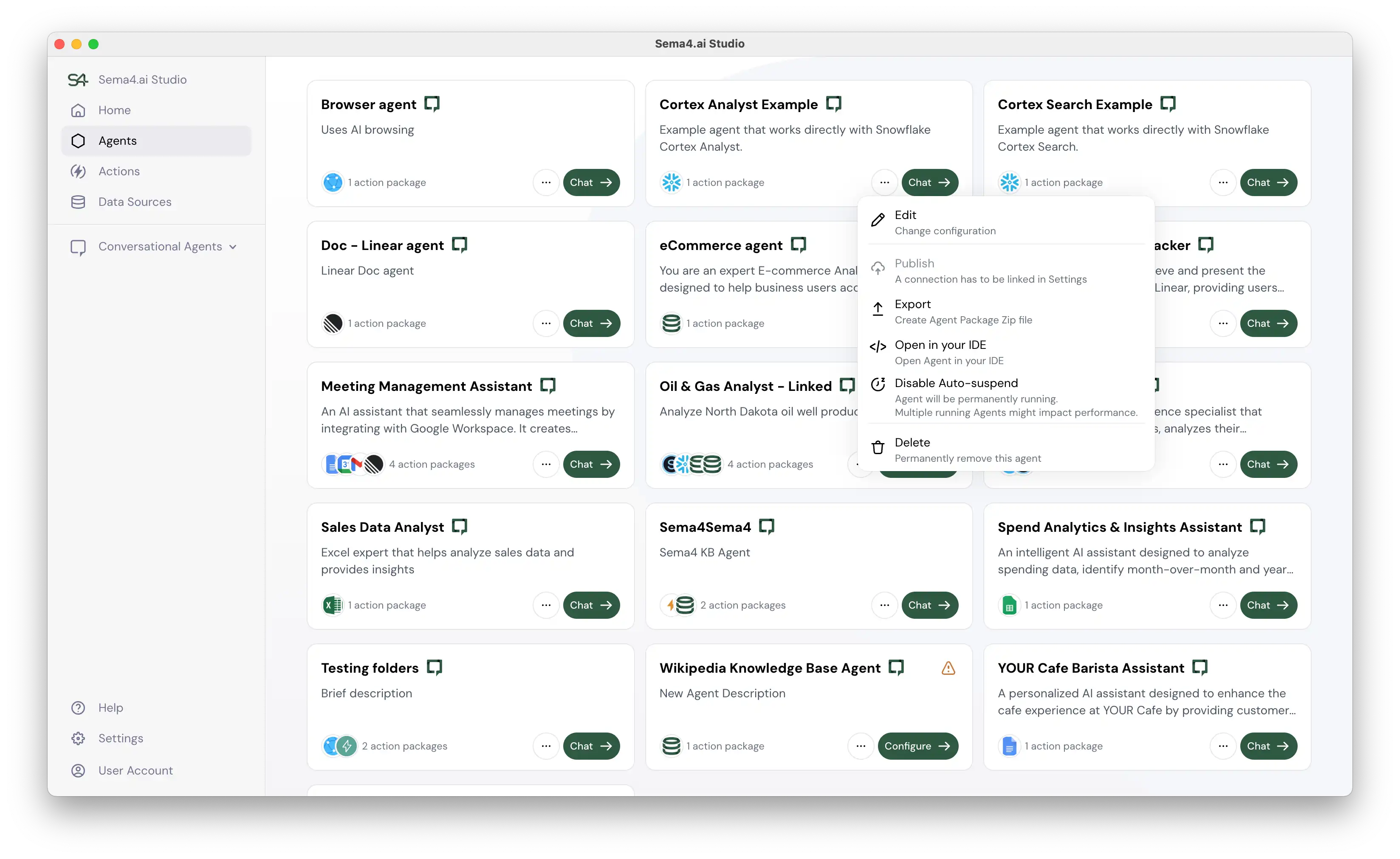 Sema4.ai Studio Agent Settings