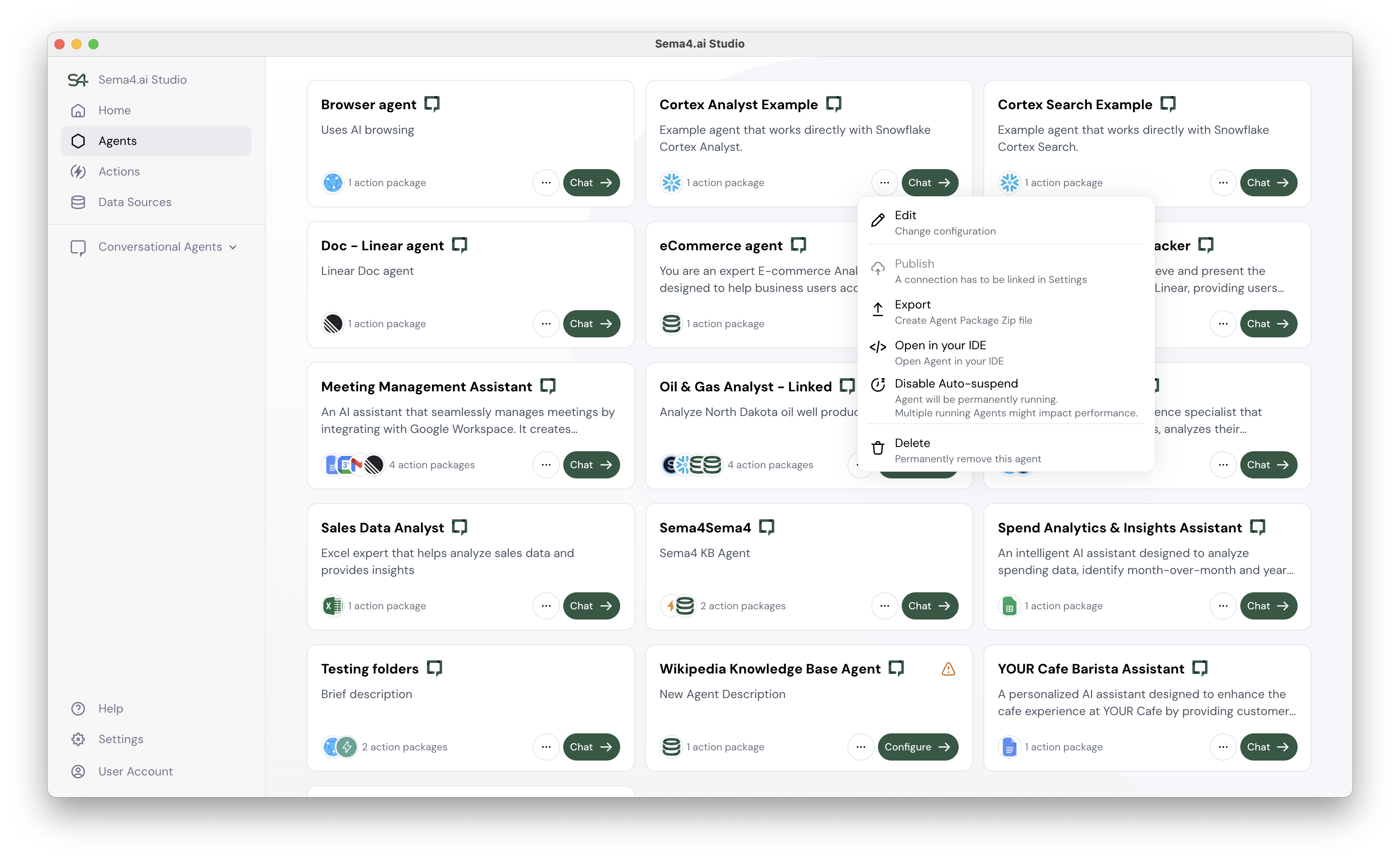 Sema4.ai Studio Agent Settings