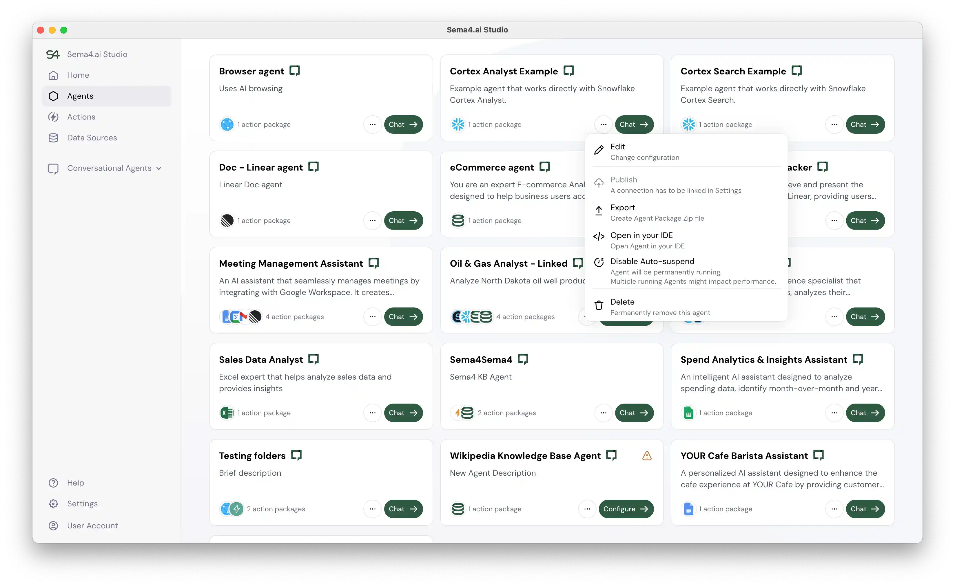 Sema4.ai Studio Agent Settings